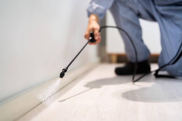 Licensed Pest Control service in Traverse City, MI - Show Me Pest Control